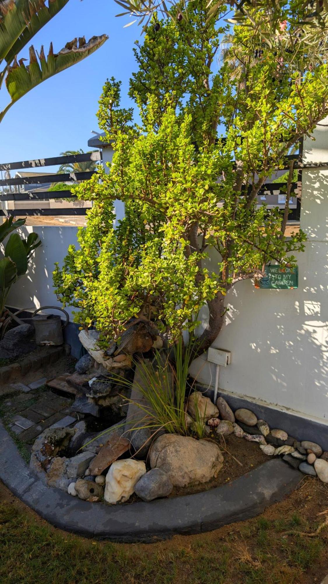 Amarachi Guesthouse Swakopmund Esterno foto
